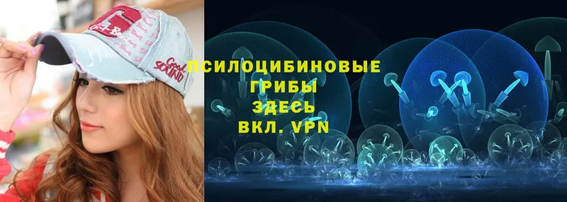 Галлюциногенные грибы Psilocybine cubensis  KRAKEN вход  Белозерск 